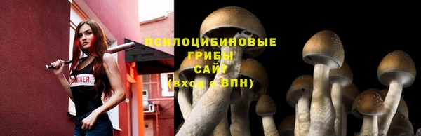мяу мяу мука Покровск