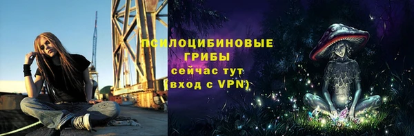 мяу мяу кристалл Покачи